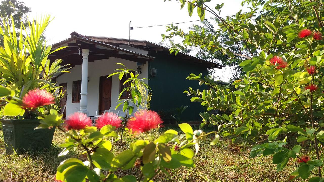 Sigiriya Amenity Home Stay Екстер'єр фото