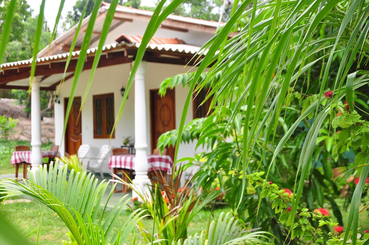 Sigiriya Amenity Home Stay Екстер'єр фото