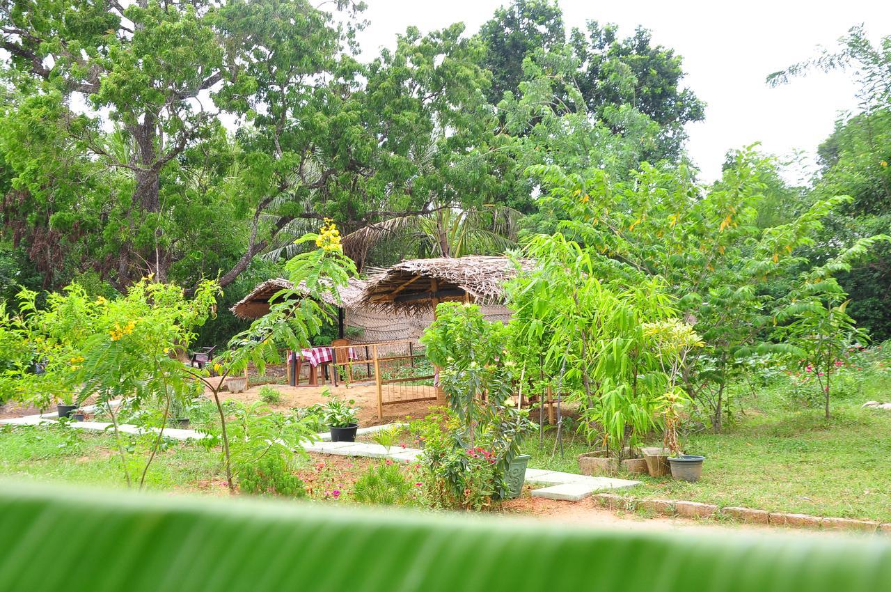 Sigiriya Amenity Home Stay Екстер'єр фото