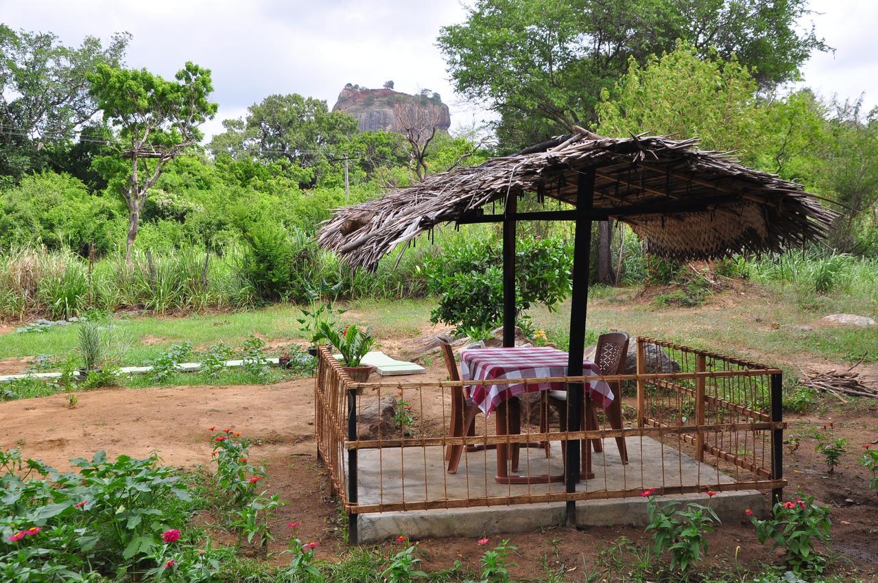 Sigiriya Amenity Home Stay Екстер'єр фото