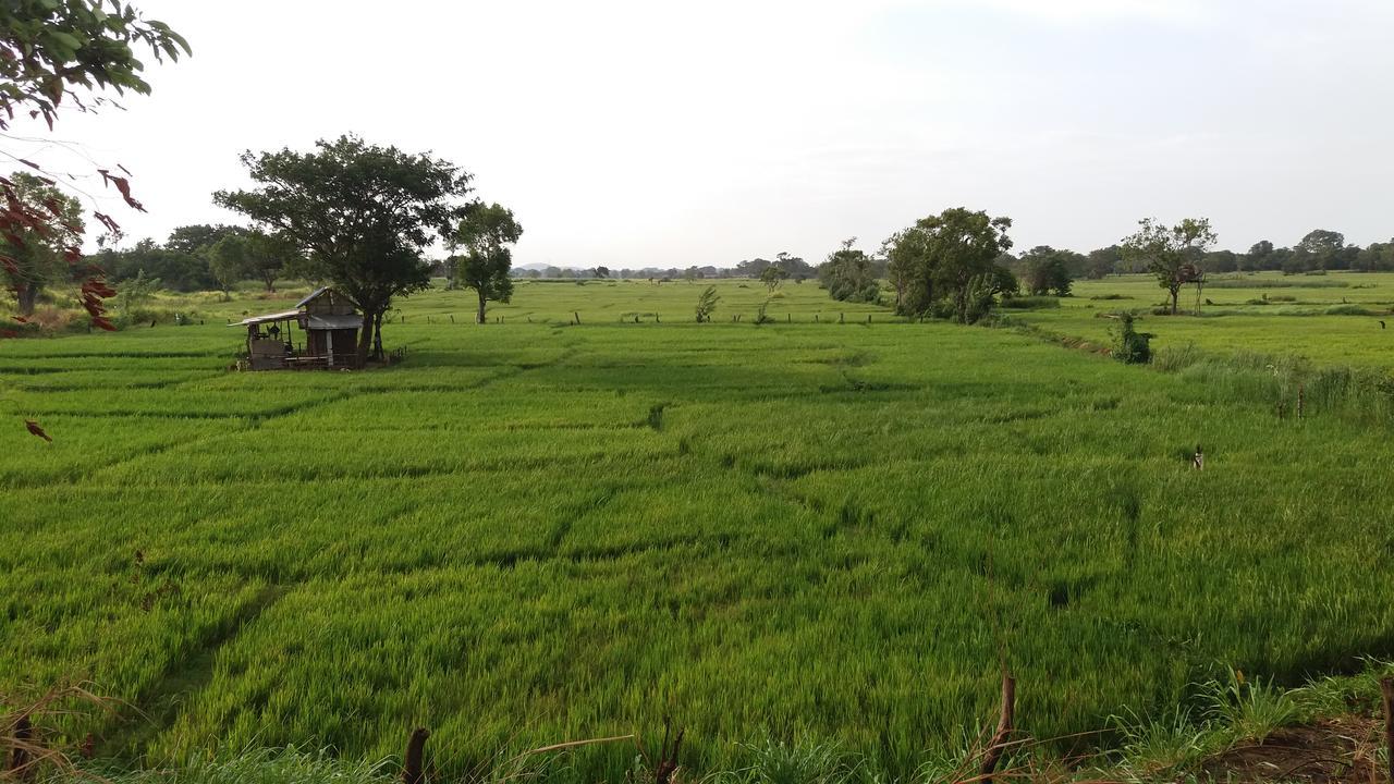 Sigiriya Amenity Home Stay Екстер'єр фото